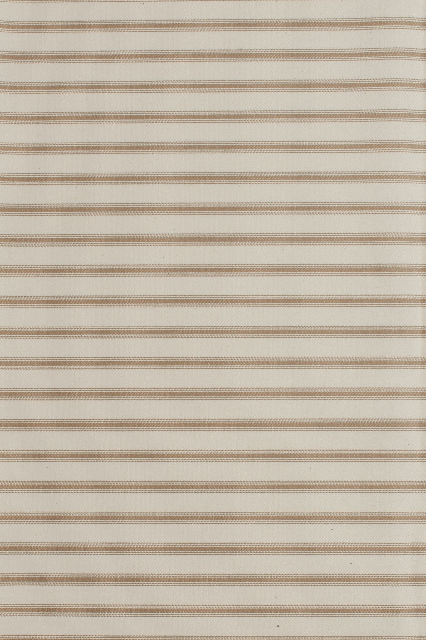 Cotton - Korreltjie