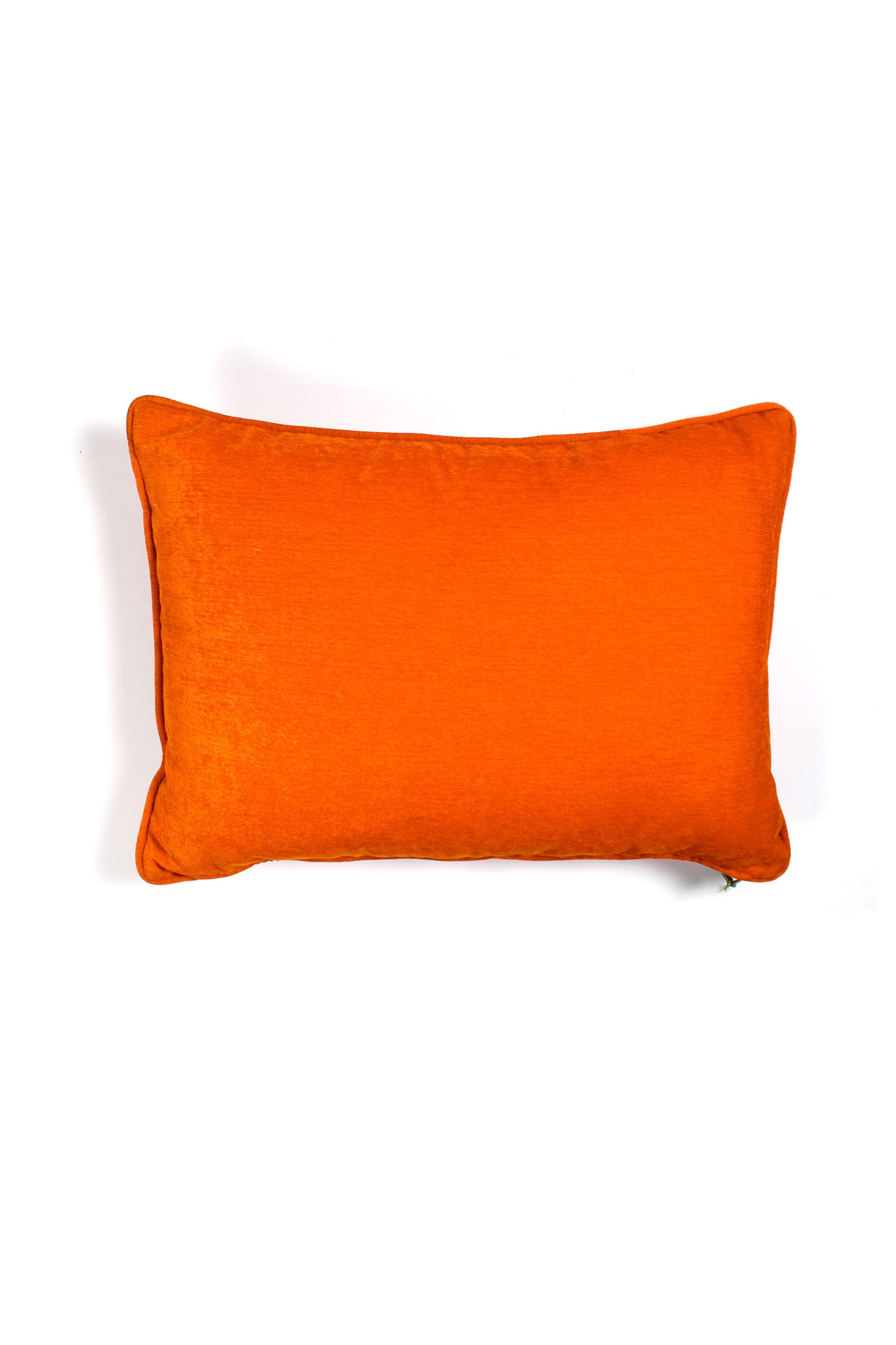 Cushion - Hirkani
