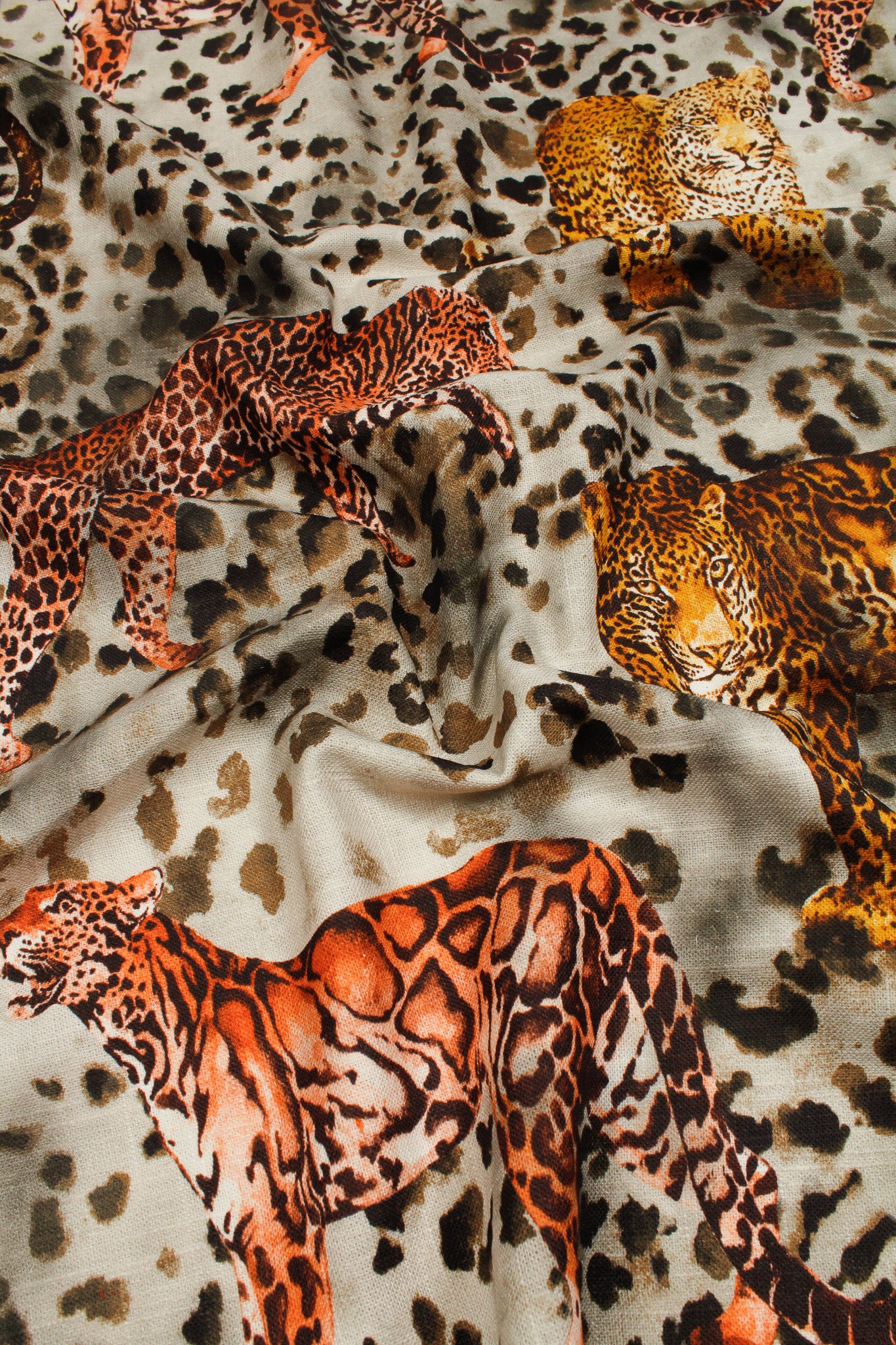 Cotton - Bagheera Fire (0179)