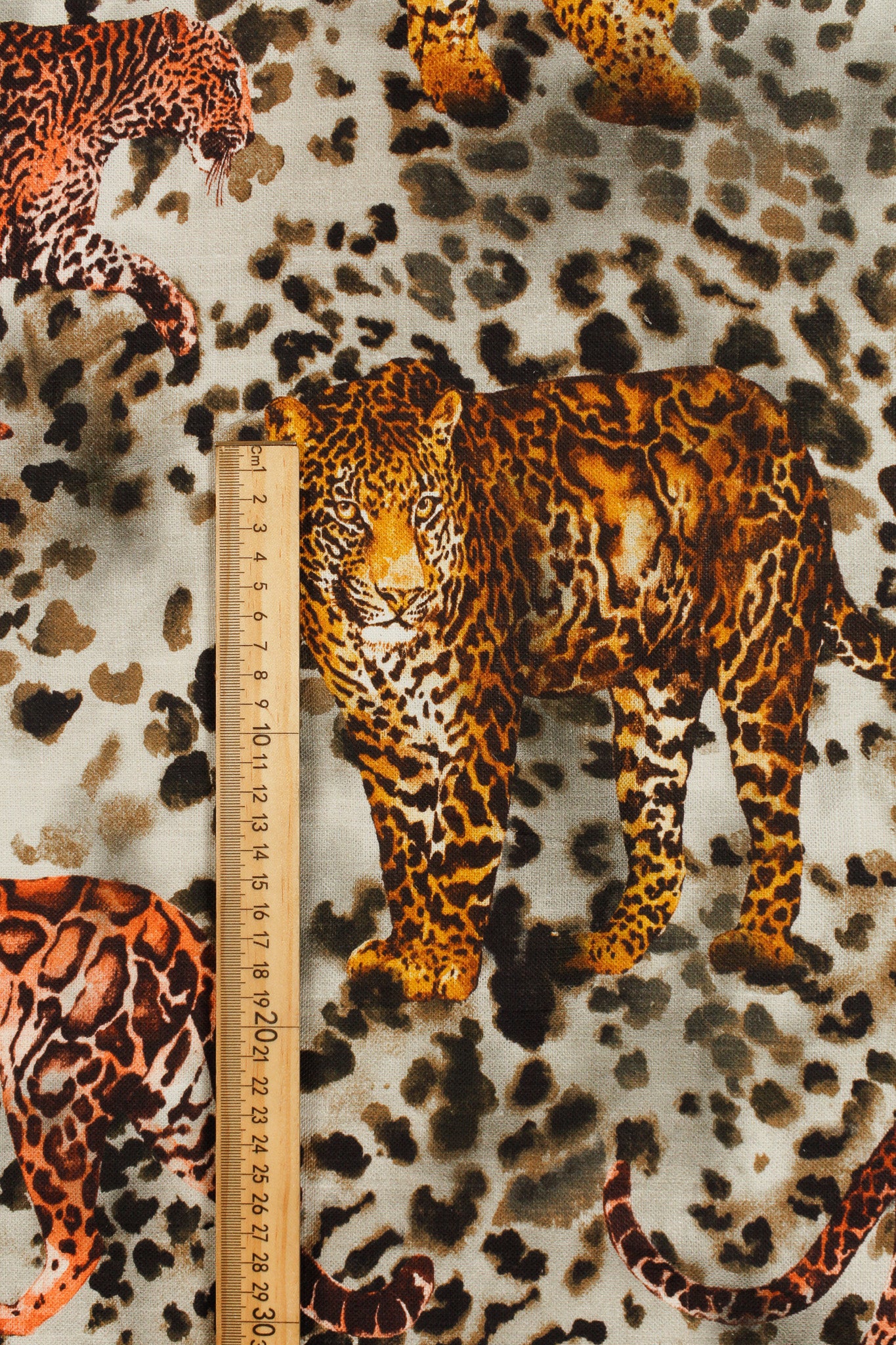 Cotton - Bagheera Fire (0179)