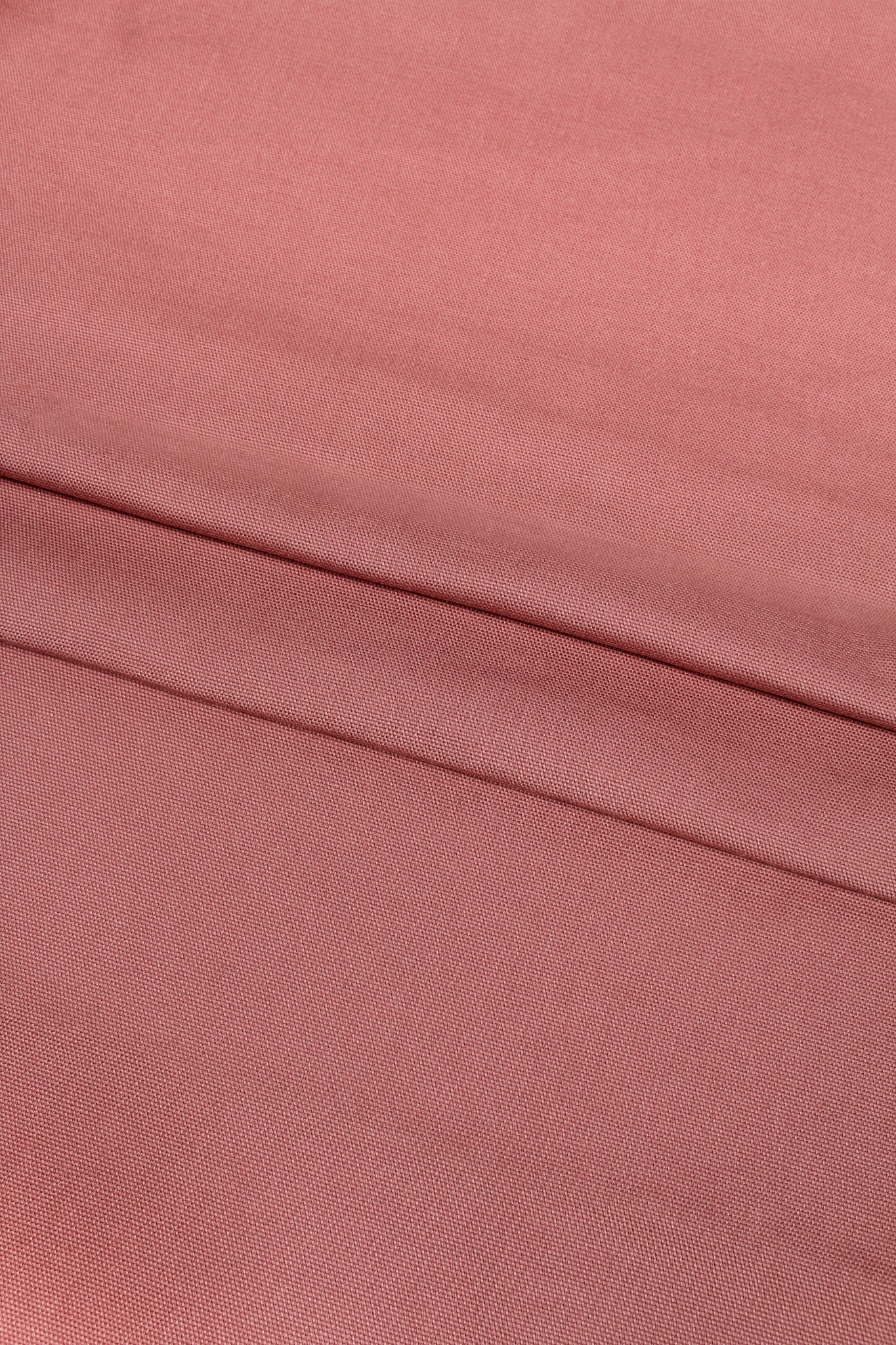 Cotton - Wild Jersey