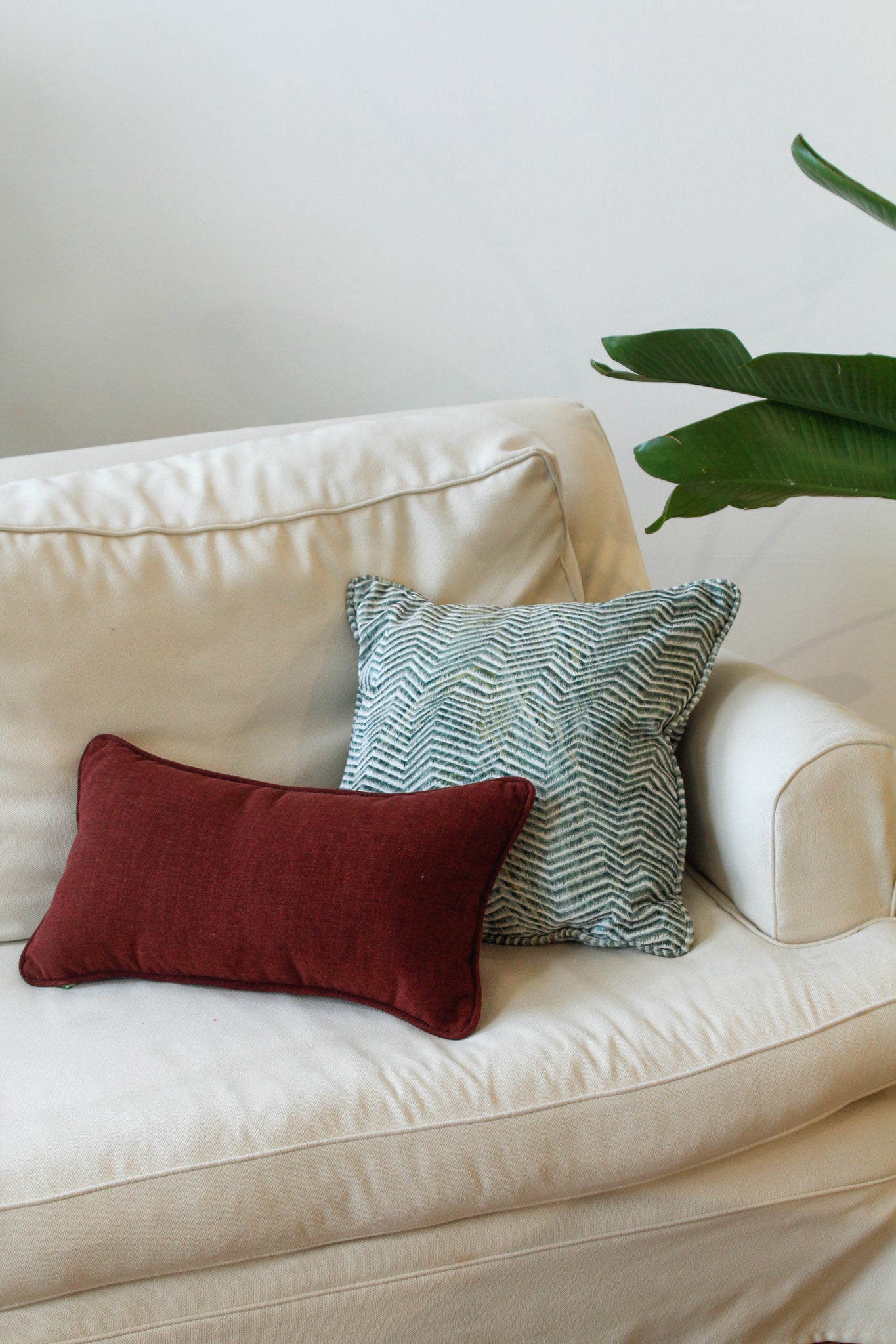 Cushion - Phoenix