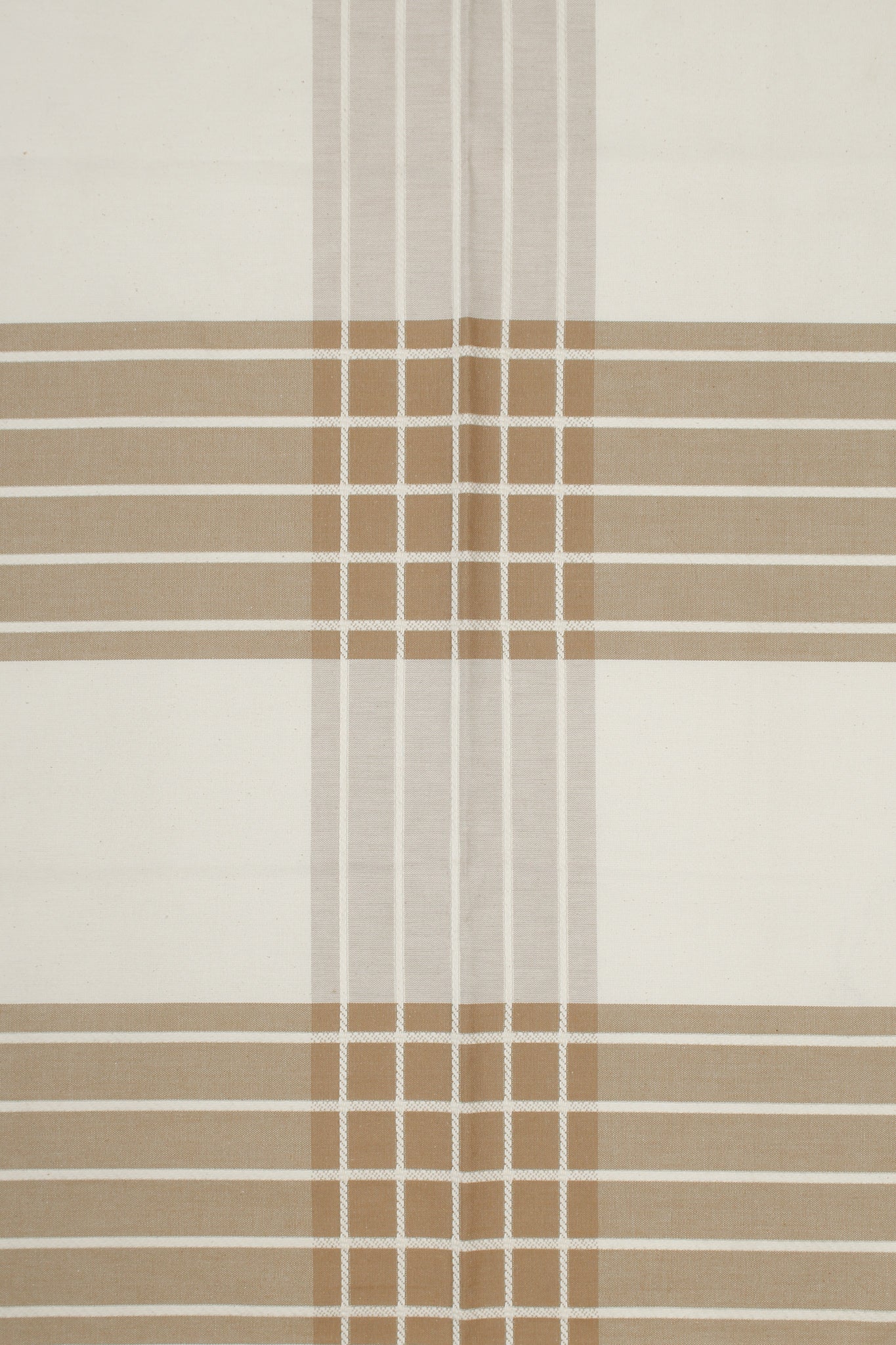 Cotton - Asia O'Hara