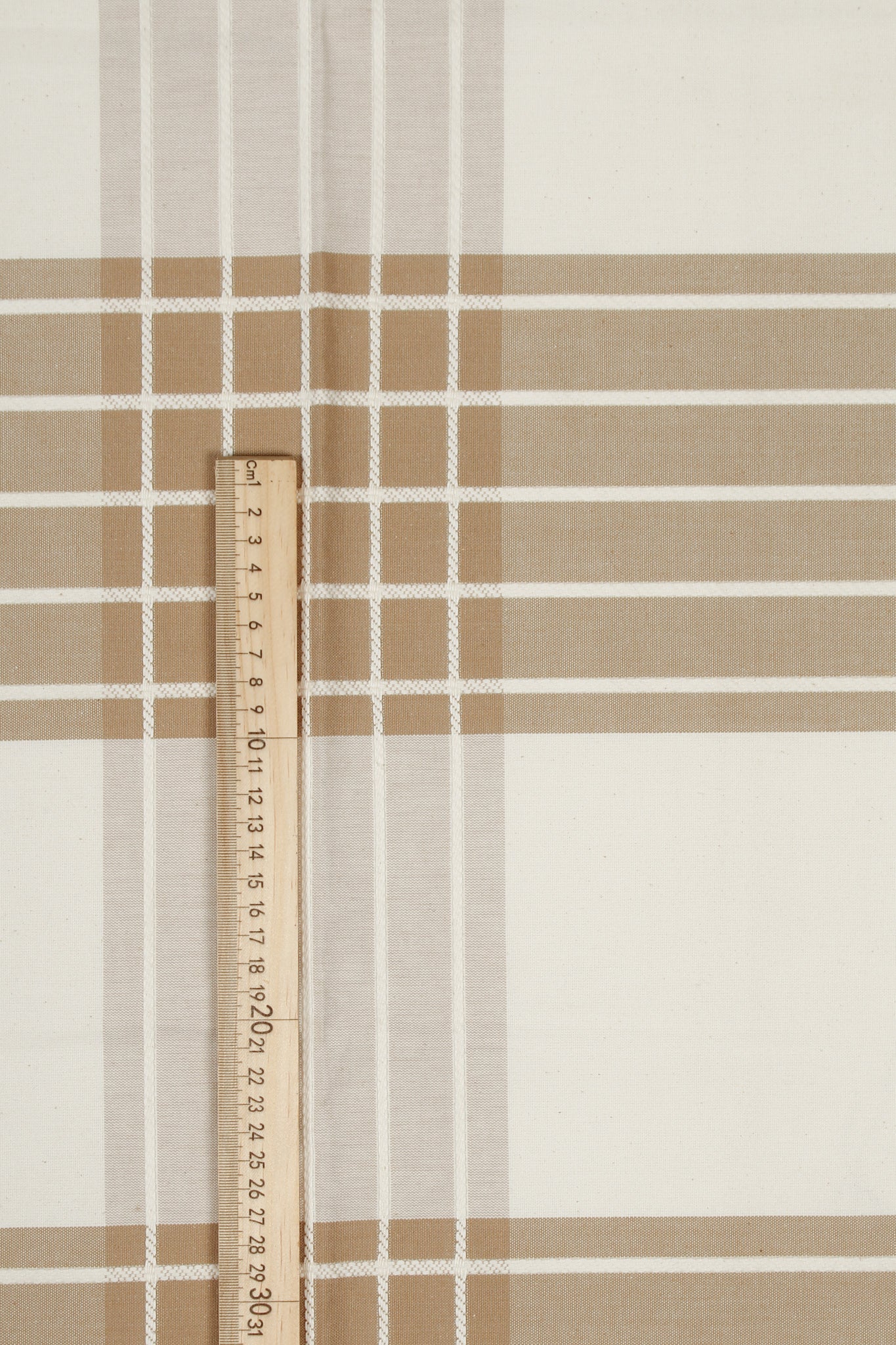 Cotton - Asia O'Hara