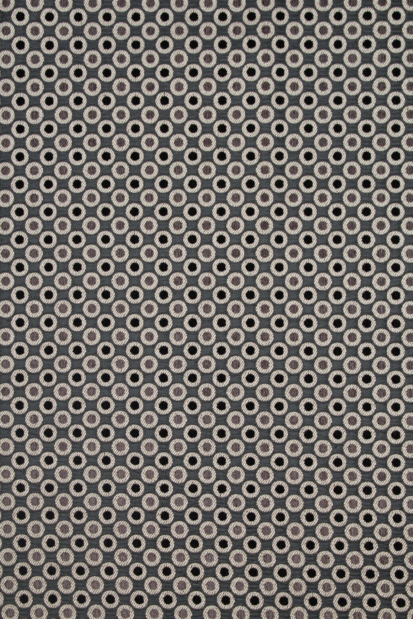 Polyester - Bellatrix