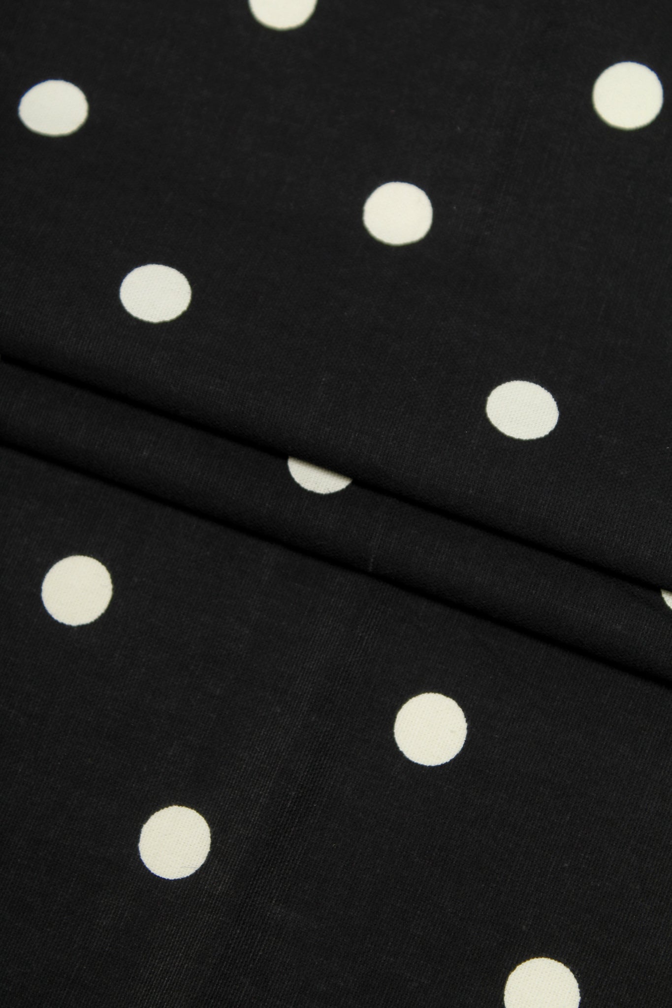 Cotton - Karoo Prinia