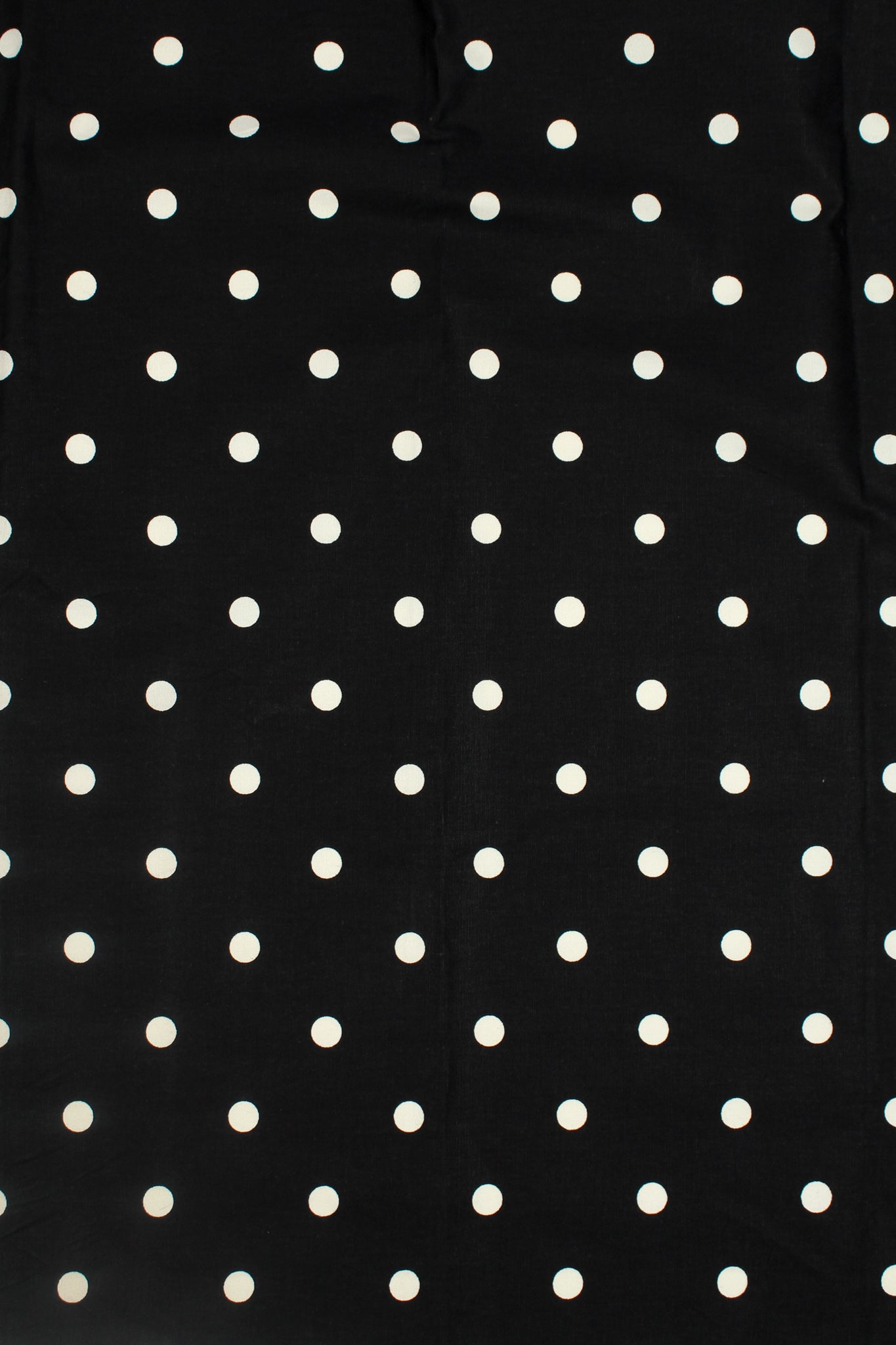 Cotton - Karoo Prinia