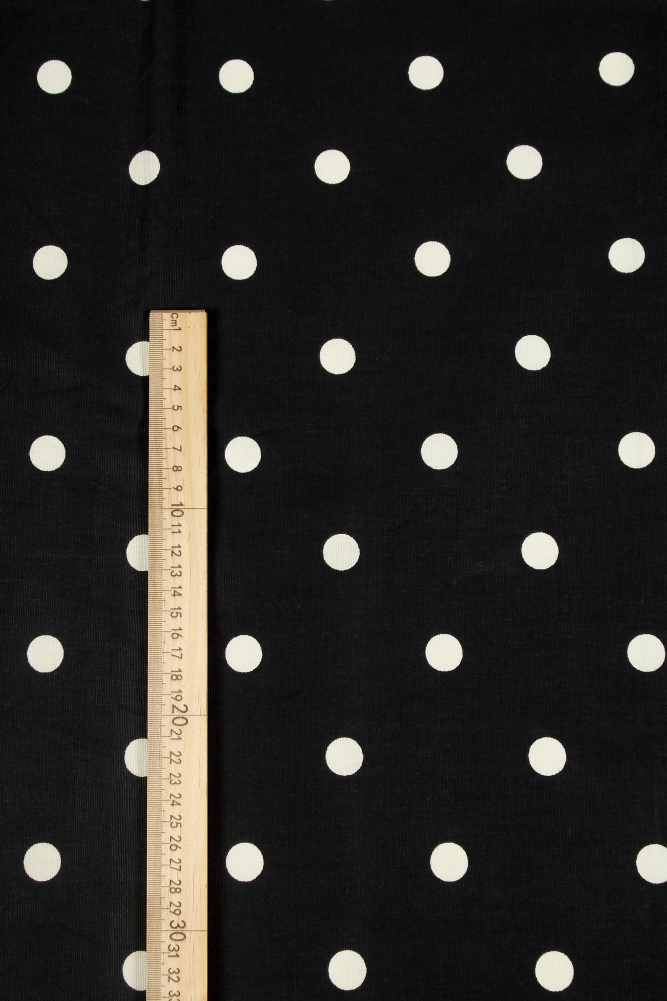 Cotton - Karoo Prinia