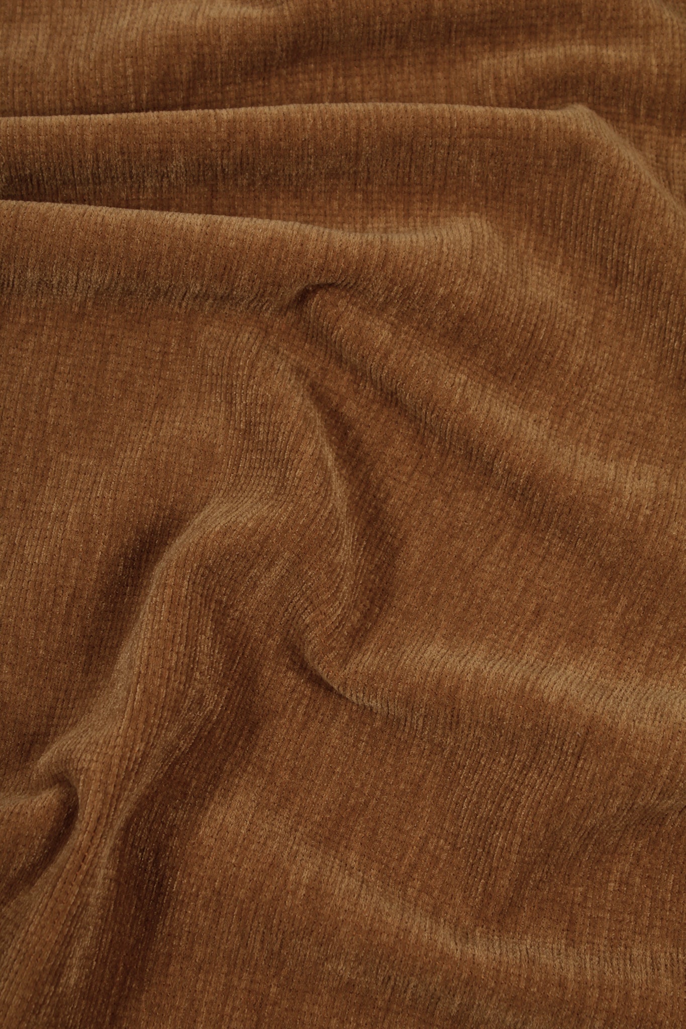 Chenille - Quiescent