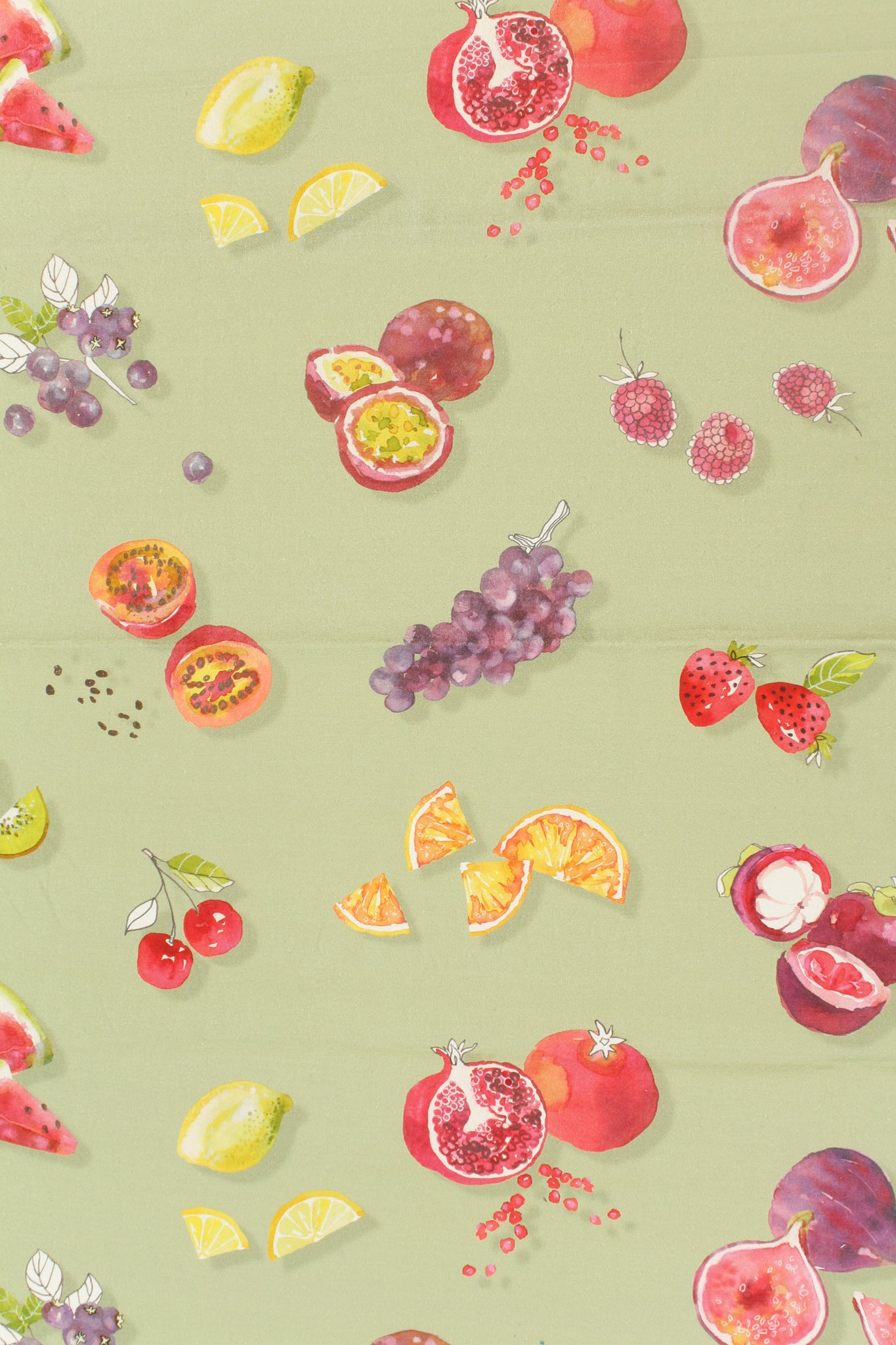 Cotton - Observatory