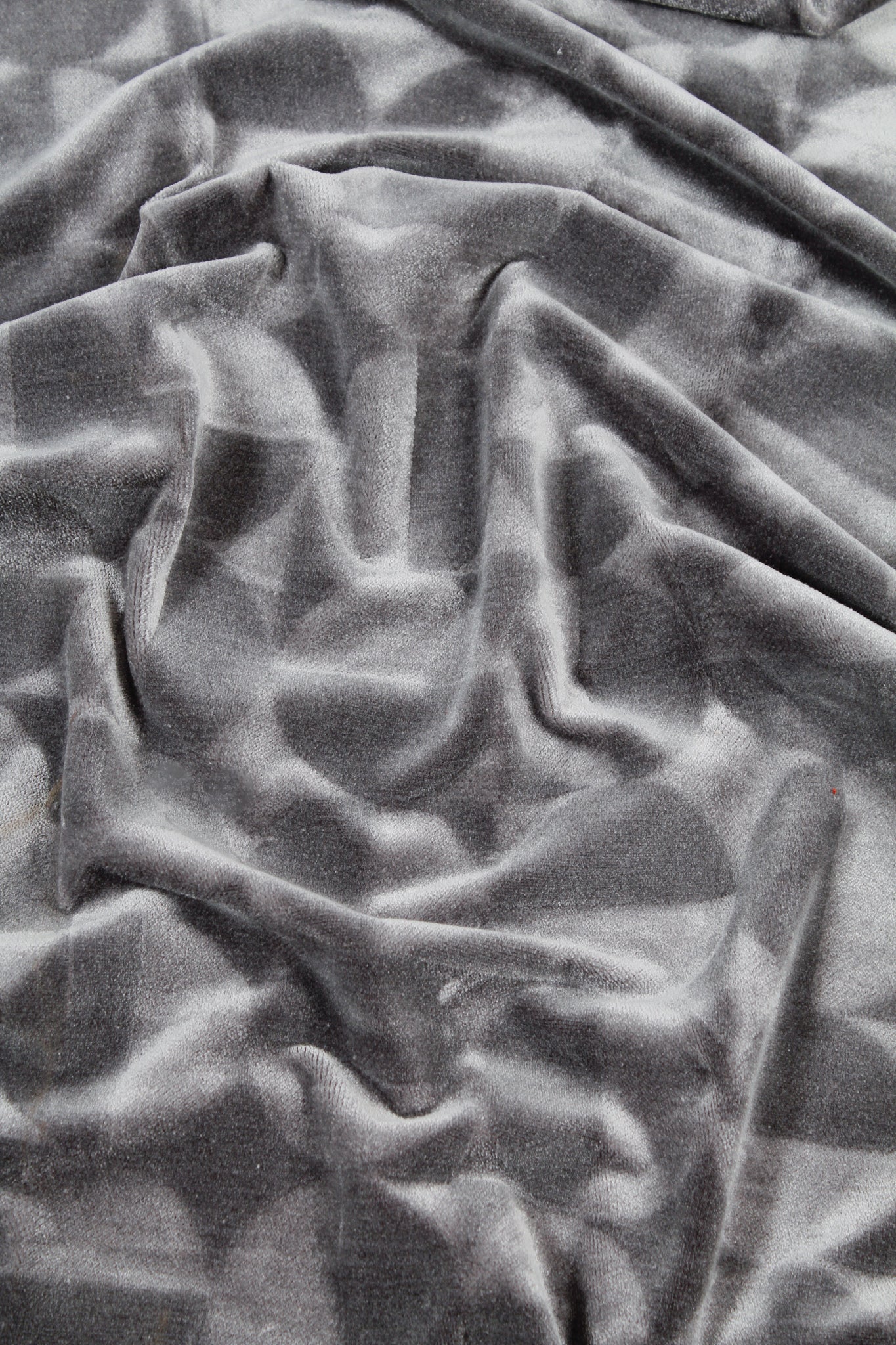 Velvet - Vatican City