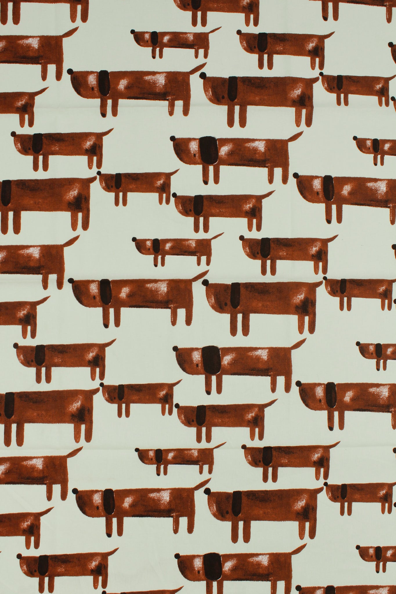 Cotton - Kiddies: Hotdogs