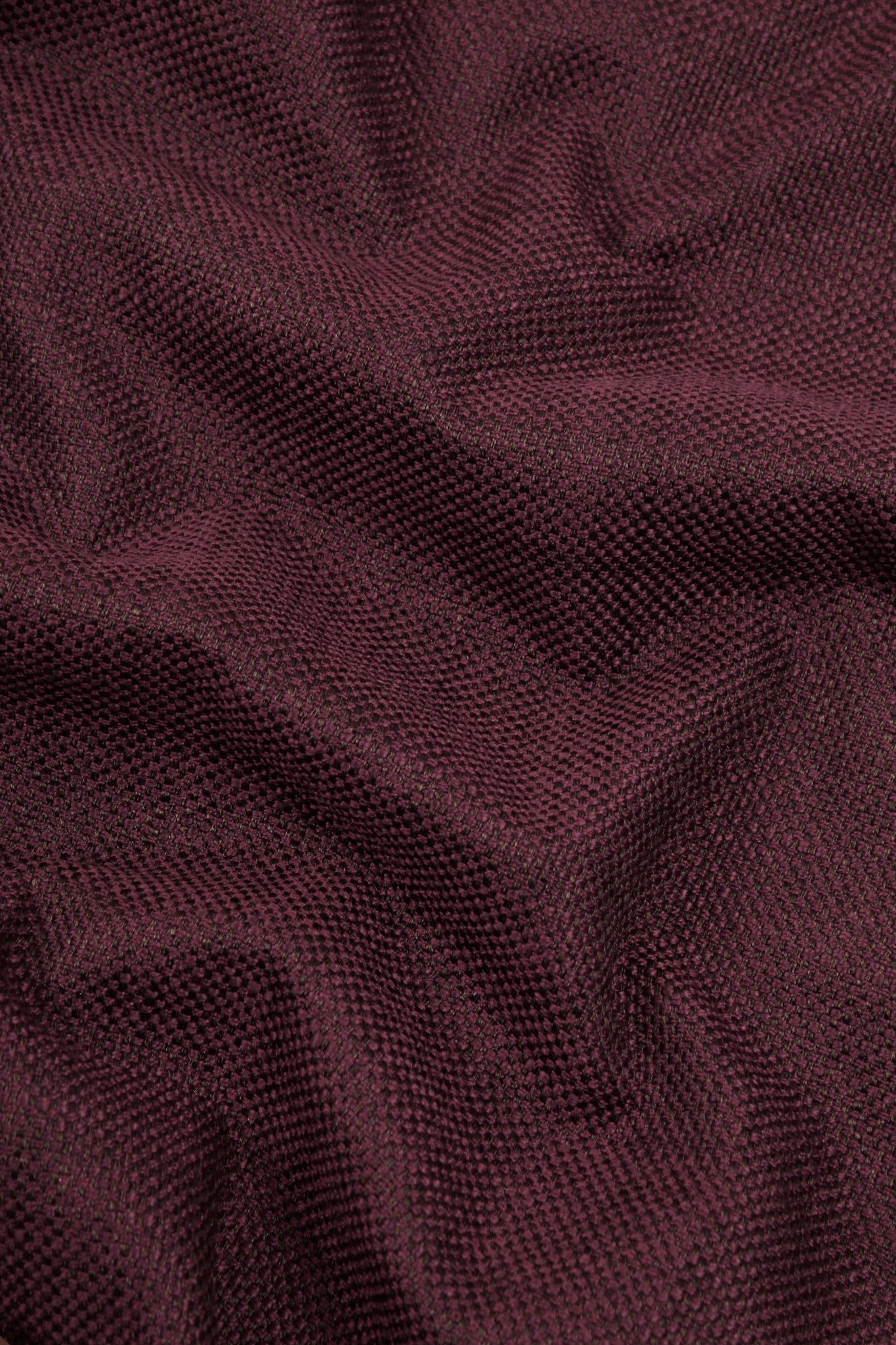 Polyester - Aglianico Adventure