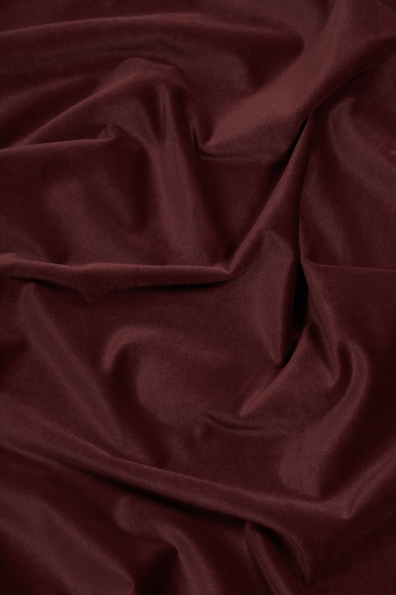 Velvet - Primitivo Perfection