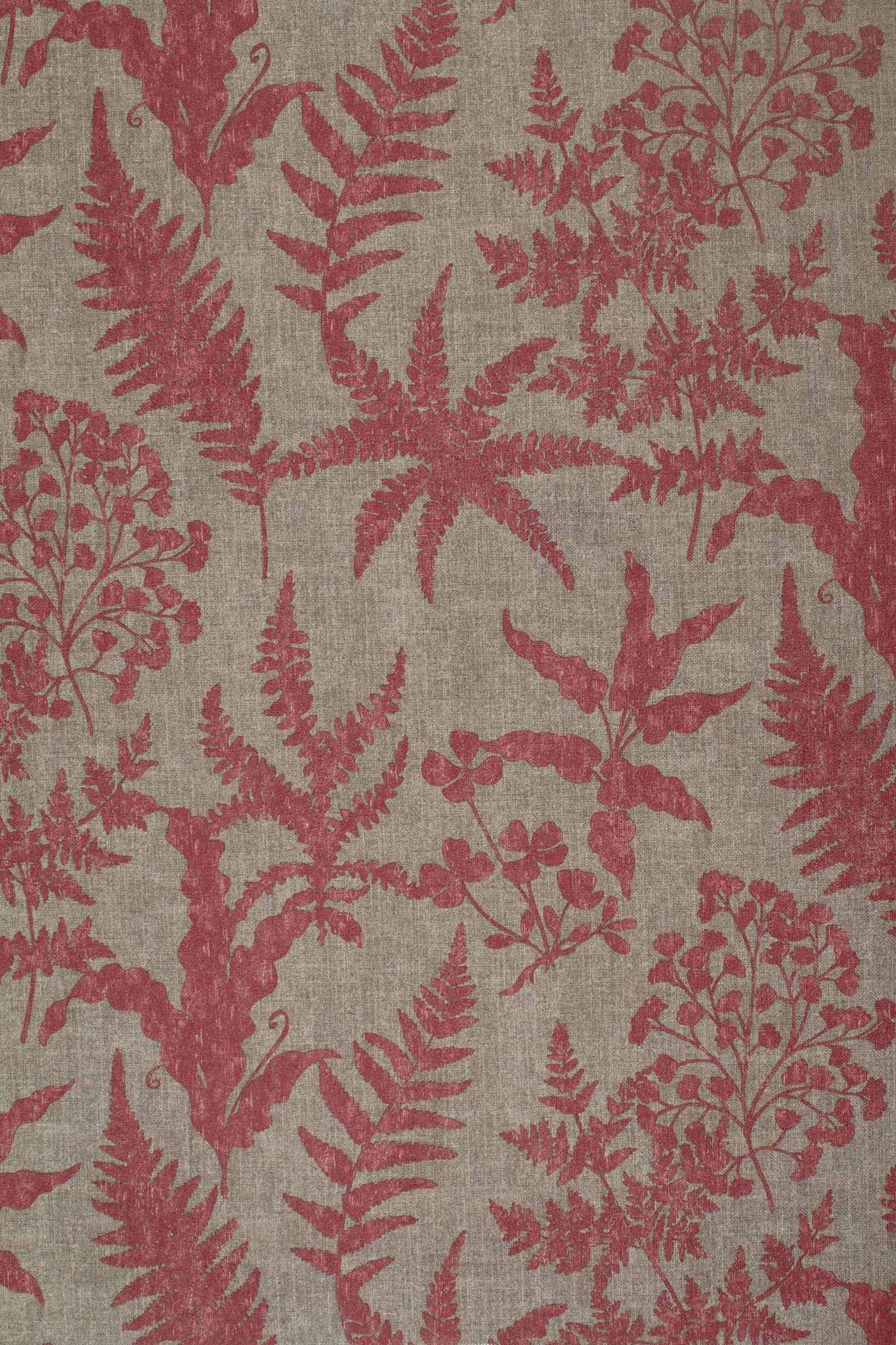 Polylinen - Mourvedre Magic