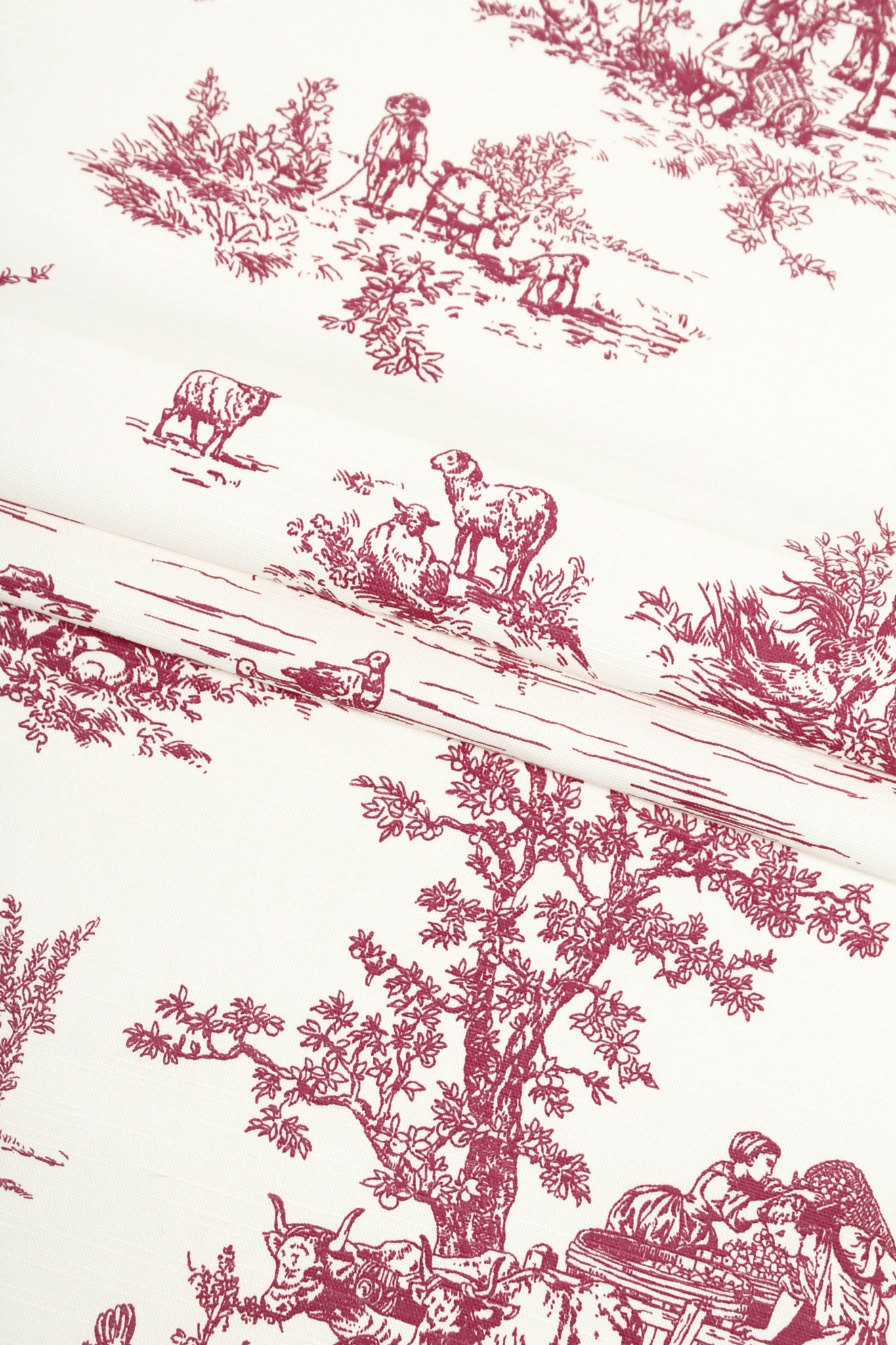 Cotton - Bordeaux Bliss