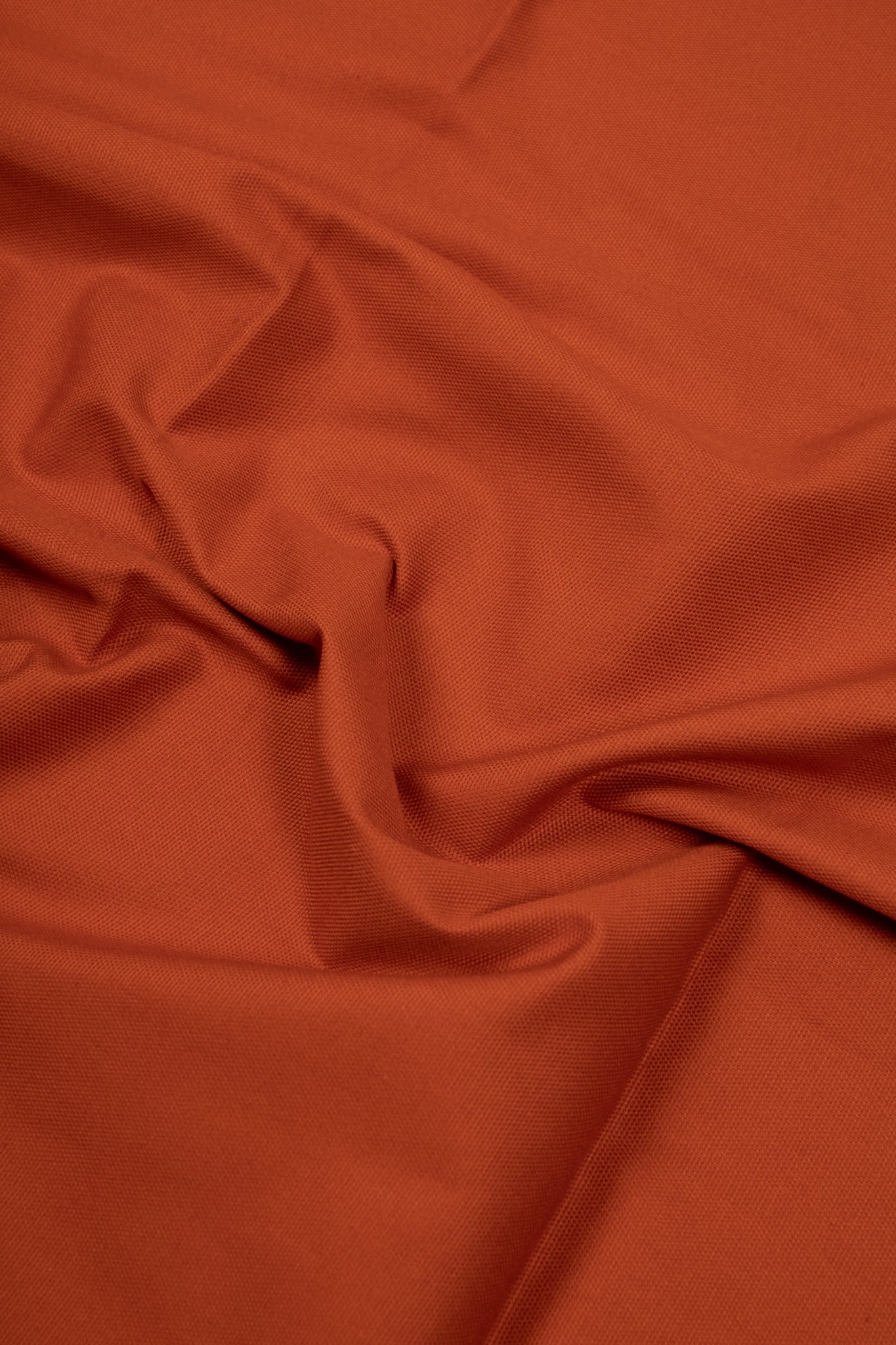 Cotton - Philodendron