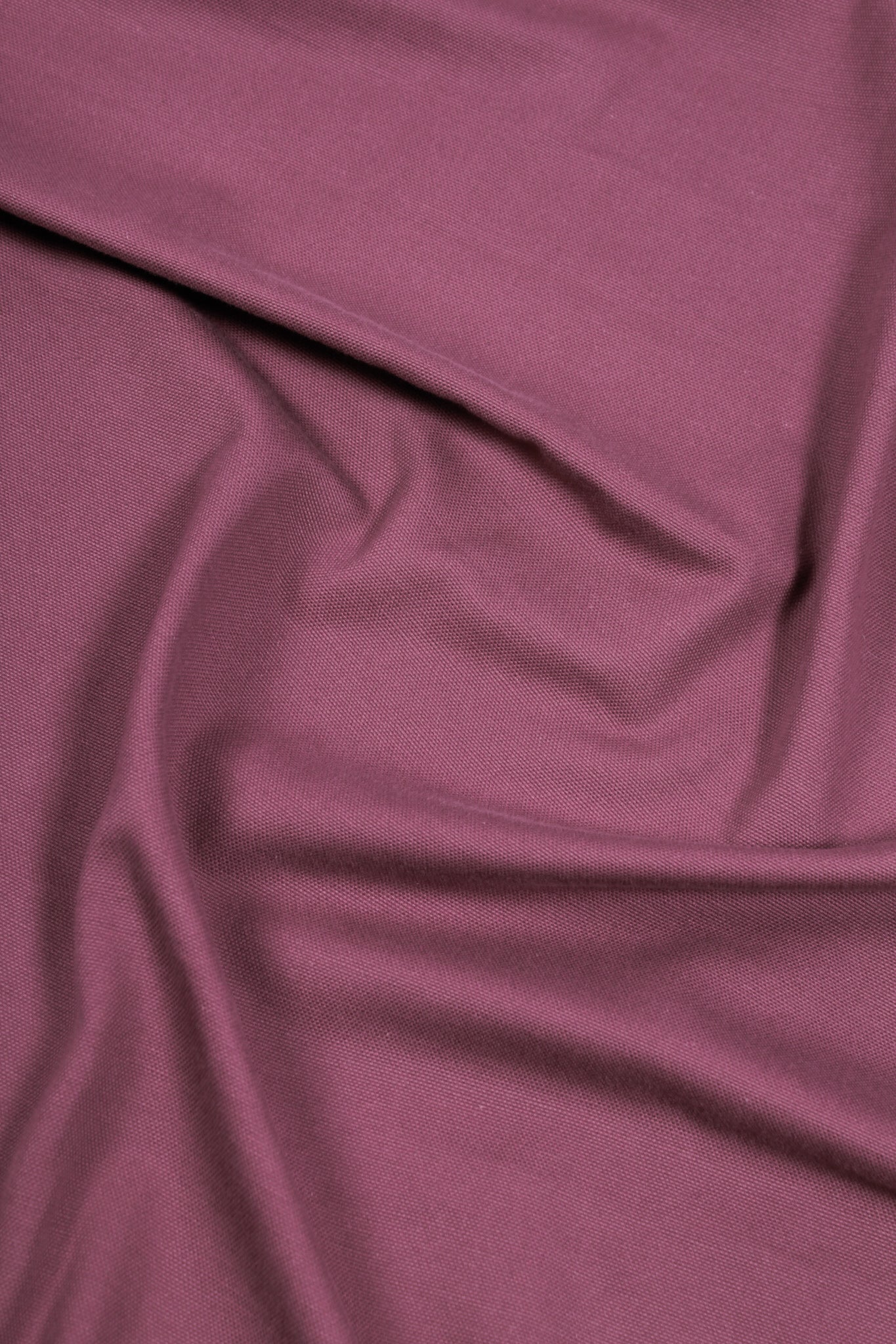 Cotton - Majestic Mystery