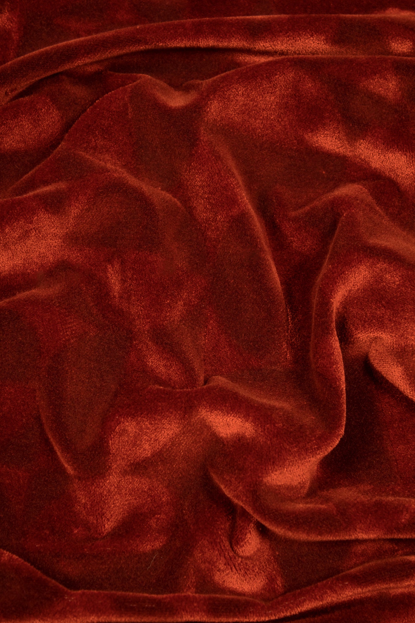 Velvet - Saffron