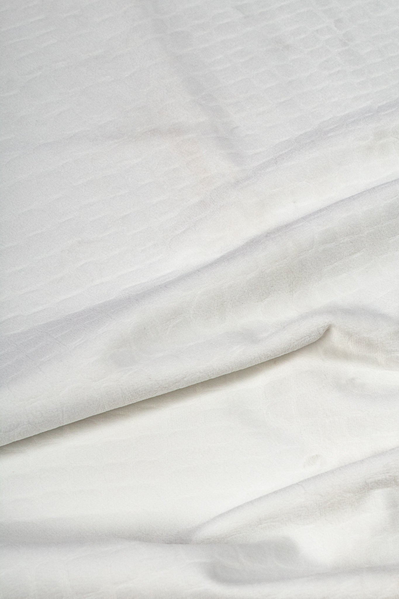 Croc Skin Velvet - Mary