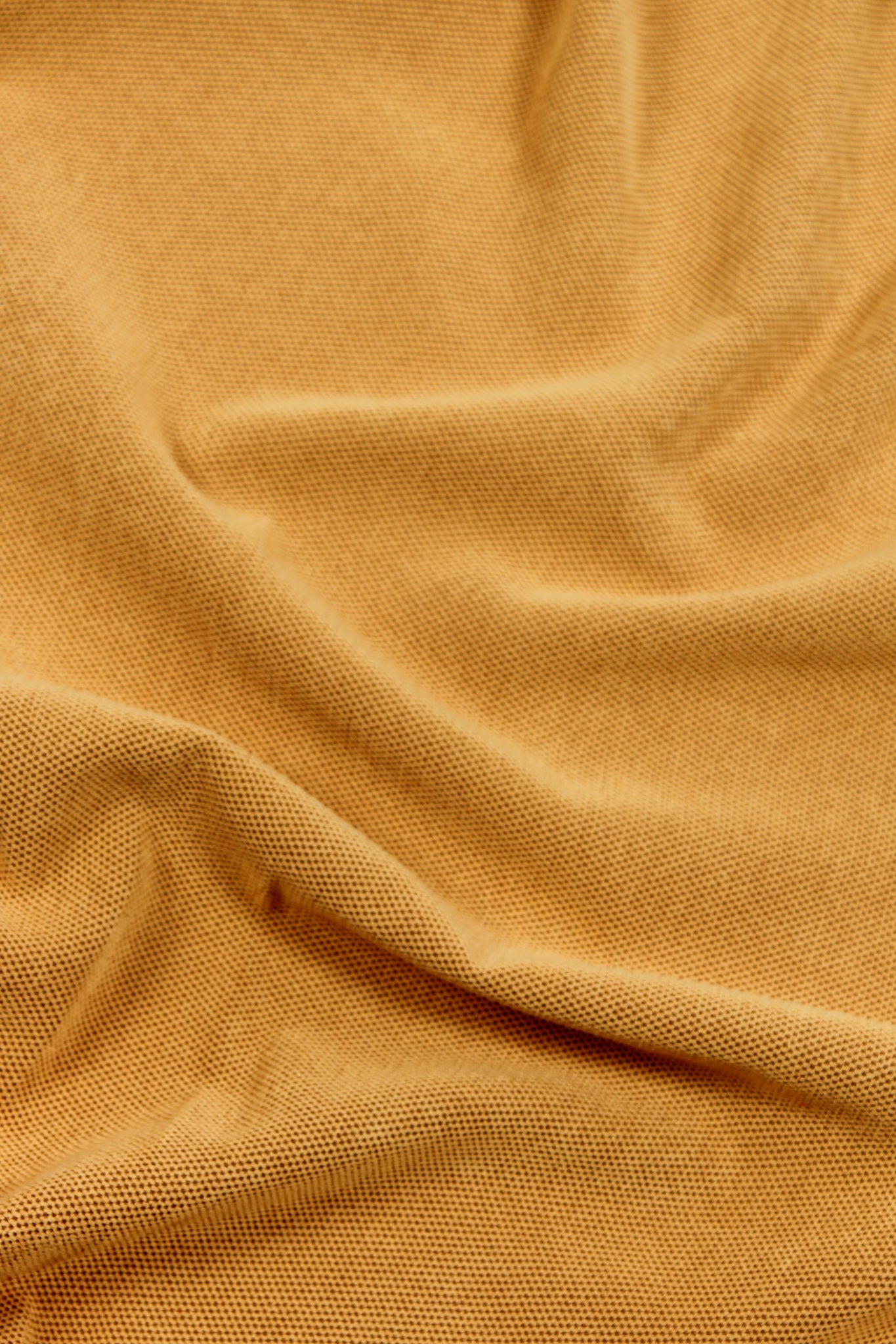 Fibreguard - Pedraza